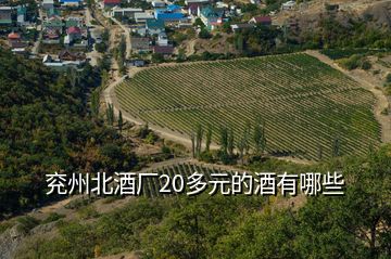 兗州北酒廠(chǎng)20多元的酒有哪些