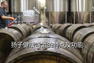 揚(yáng)子健康啤酒的特點(diǎn)及功能