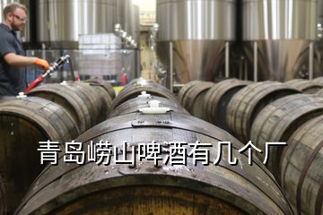 青島嶗山啤酒有幾個(gè)廠