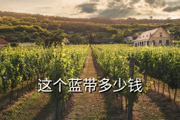 這個藍(lán)帶多少錢