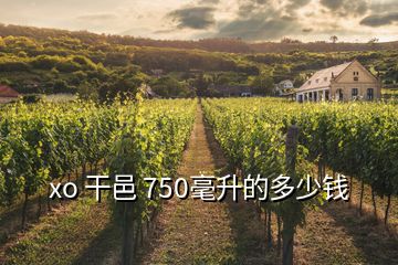 xo 干邑 750毫升的多少錢(qián)
