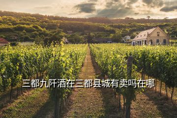 三都九阡酒在三都縣城有賣(mài)嗎在哪