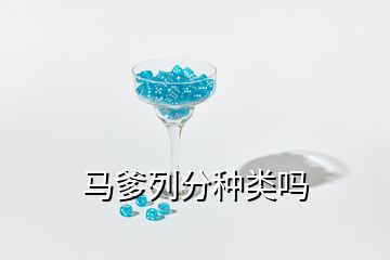 馬爹列分種類(lèi)嗎