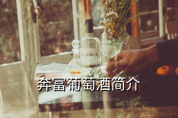 奔富葡萄酒簡(jiǎn)介