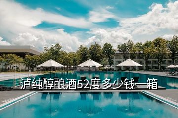 瀘純醇釀酒52度多少錢一箱