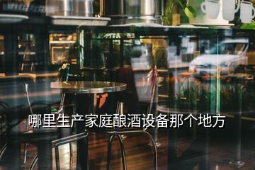 哪里生產(chǎn)家庭釀酒設(shè)備那個地方