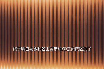 終于明白馬爹利名士藍(lán)帶和XO之間的區(qū)別了