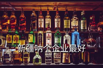 新疆吶個(gè)企業(yè)最好