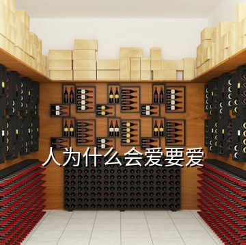 人為什么會(huì)愛(ài)要愛(ài)