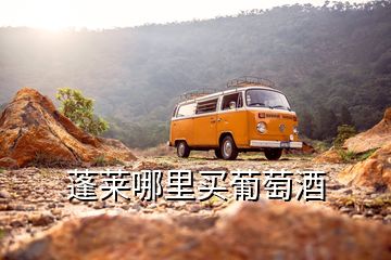 蓬萊哪里買葡萄酒