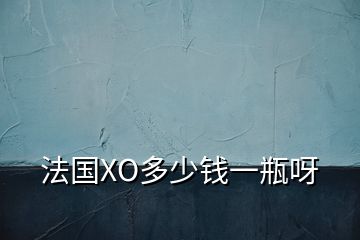 法國(guó)XO多少錢一瓶呀