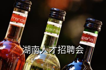 湖南人才招聘會