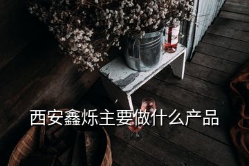 西安鑫爍主要做什么產品