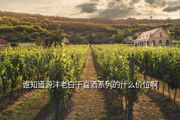 誰(shuí)知道源灃老白干喜酒系列的什么價(jià)位啊