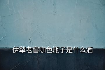 伊犁老窖咖色瓶子是什么酒