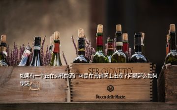 如果有一個(gè)正在運(yùn)轉(zhuǎn)的酒廠可是在營(yíng)銷(xiāo)網(wǎng)上出現(xiàn)了問(wèn)題那么如何使這