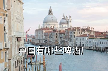 中國(guó)有哪些啤酒廠