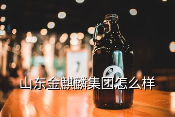 山東金麒麟集團怎么樣