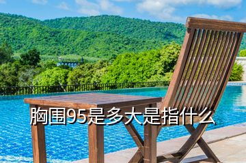 胸圍95是多大是指什么