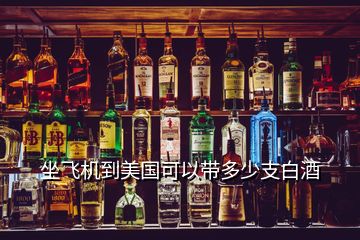坐飛機(jī)到美國可以帶多少支白酒