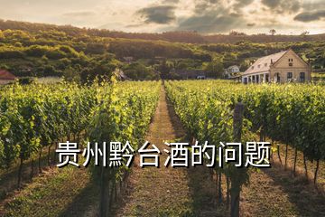 貴州黔臺酒的問題