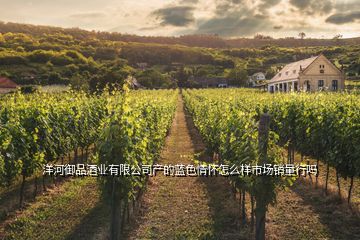 洋河御品酒業(yè)有限公司產(chǎn)的藍(lán)色情懷怎么樣市場(chǎng)銷(xiāo)量行嗎