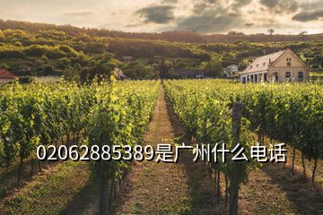 02062885389是廣州什么電話