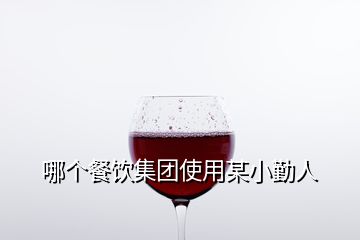 哪個(gè)餐飲集團(tuán)使用某小勤人