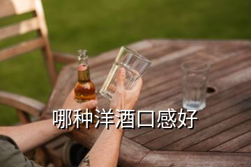 哪種洋酒口感好