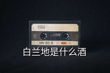 白蘭地是什么酒