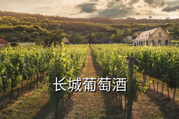 長城葡萄酒