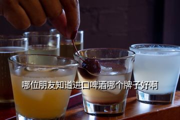 哪位朋友知道進(jìn)口啤酒哪個牌子好啊