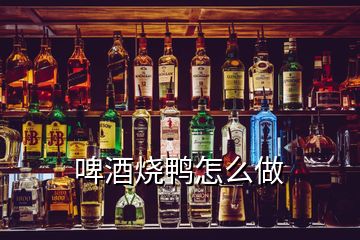 啤酒燒鴨怎么做