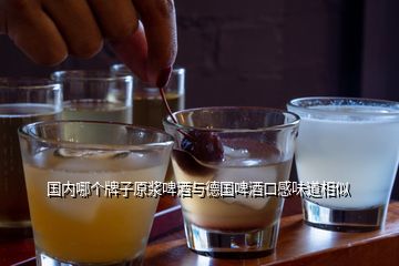 國內(nèi)哪個(gè)牌子原漿啤酒與德國啤酒口感味道相似