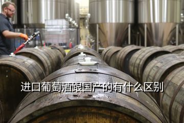 進(jìn)口葡萄酒跟國(guó)產(chǎn)的有什么區(qū)別