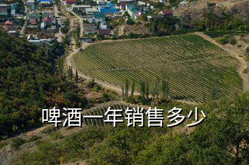 啤酒一年銷(xiāo)售多少