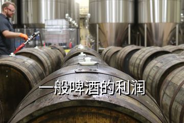 一般啤酒的利潤