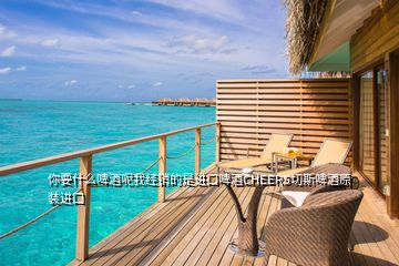 你要什么啤酒呢我經(jīng)銷的是進(jìn)口啤酒CHEERS切斯啤酒原裝進(jìn)口