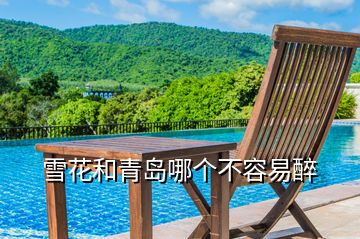 雪花和青島哪個(gè)不容易醉