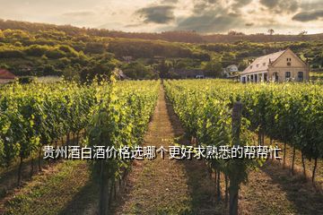 貴州酒白酒價格選哪個更好求熟悉的幫幫忙
