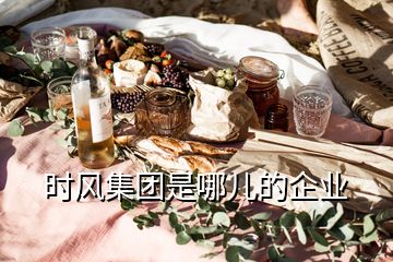 時(shí)風(fēng)集團(tuán)是哪兒的企業(yè)