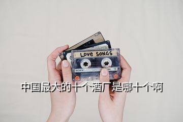 中國最大的十個(gè)酒廠是哪十個(gè)啊