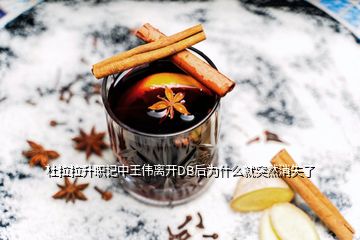 杜拉拉升職記中王偉離開(kāi)DB后為什么就突然消失了