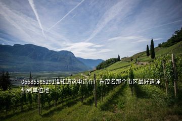 06685585291誰知道這電話在廣東茂名那個(gè)市區(qū)最好請(qǐng)?jiān)敿?xì)到單位地