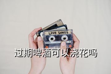 過期啤酒可以澆花嗎