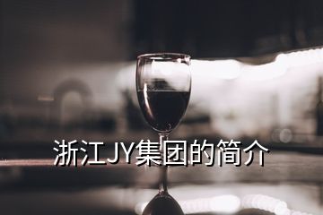 浙江JY集團的簡介