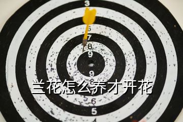 蘭花怎么養(yǎng)才開(kāi)花