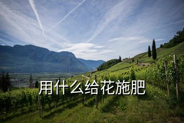 用什么給花施肥