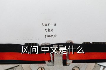 風間 中文是什么
