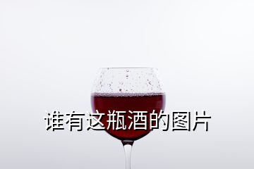誰(shuí)有這瓶酒的圖片